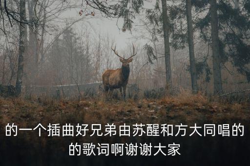 的一個插曲好兄弟由蘇醒和方大同唱的的歌詞啊謝謝大家