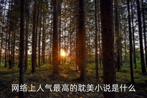 網絡上人氣最高的耽美小說是什么