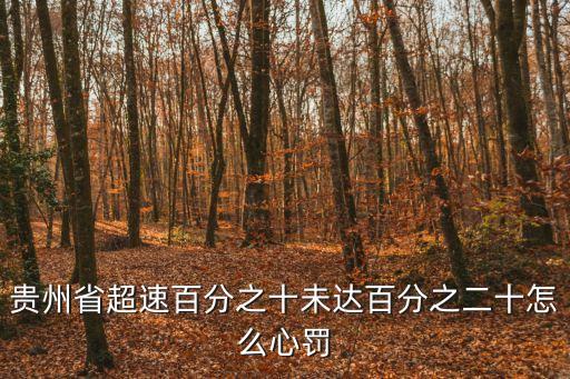 貴州省超速百分之十未達百分之二十怎么心罰
