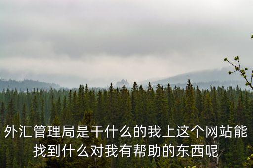 外匯管理局是干什么的我上這個網站能找到什么對我有幫助的東西呢