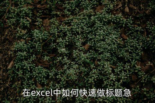 在excel中如何快速做標(biāo)題急
