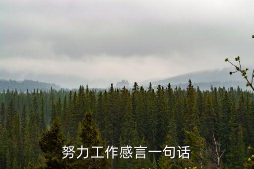 努力工作感言一句話