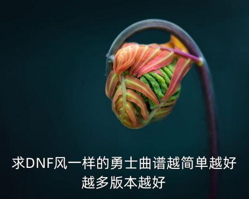 求DNF風(fēng)一樣的勇士曲譜越簡單越好越多版本越好