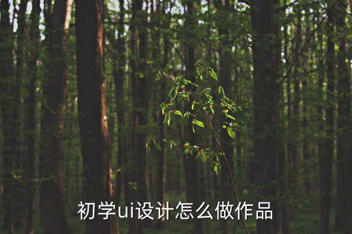 初學ui設計怎么做作品