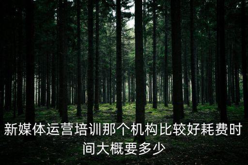 新媒體運(yùn)營(yíng)培訓(xùn)，零基礎(chǔ)如何學(xué)習(xí)新媒體運(yùn)營(yíng)