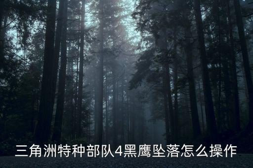 三角洲特種部隊4黑鷹墜落怎么操作