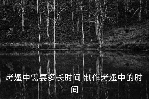 烤翅中需要多長時間 制作烤翅中的時間