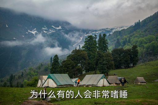 為什么有的人會非常嗜睡