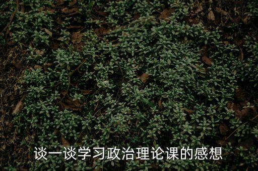 談一談學習政治理論課的感想