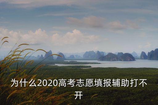 天津市新高考志愿輔助系統不能用了，天津招考網怎么打不開