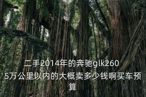 二手2014年的奔馳glk260 5萬公里以內的大概賣多少錢啊買車預算