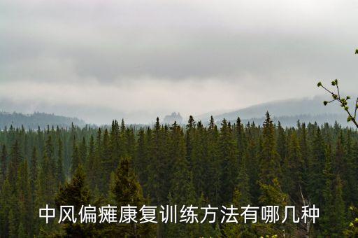 康復訓練方法，中風偏癱康復訓練方法有哪幾種