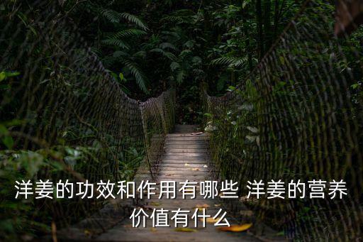 洋姜的功效和作用有哪些 洋姜的營養價值有什么