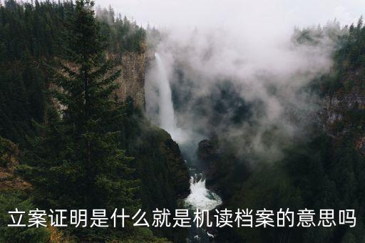 立案證明是什么就是機讀檔案的意思嗎