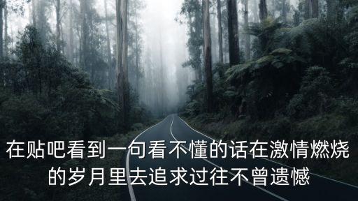 在貼吧看到一句看不懂的話在激情燃燒的歲月里去追求過往不曾遺憾