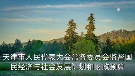 天津市人民代表大會常務委員會監督國民經濟與社會發展計劃和財政預算