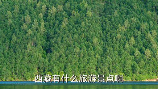西藏有什么旅游景點(diǎn)啊