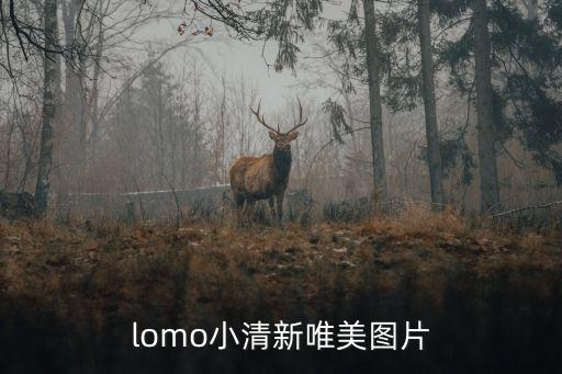 lomo小清新唯美圖片