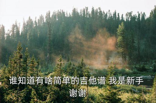 誰知道有啥簡單的吉他譜 我是新手 謝謝