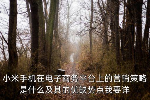 小米手機在電子商務平臺上的營銷策略是什么及其的優缺勢點我要詳