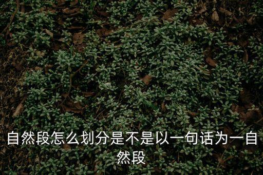 自然段怎么劃分是不是以一句話為一自然段