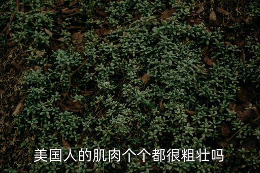 美國肌肉，美國肌肉是指