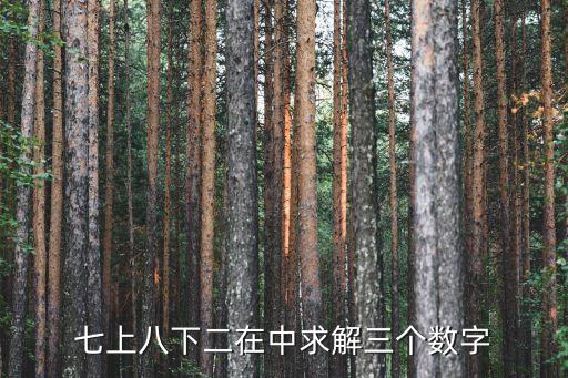 七上八下二在中求解三個數字