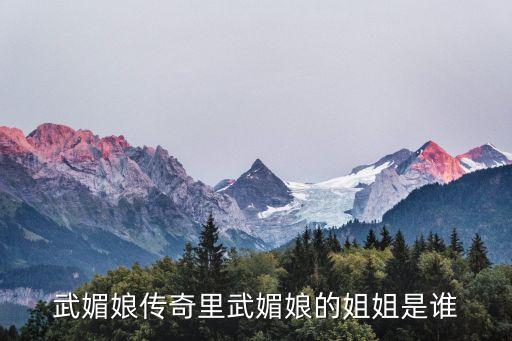 武媚娘傳奇里武媚娘的姐姐是誰