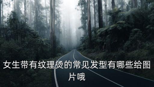 紋理燙發型圖片女，女生帶有紋理燙的常見發型有哪些給圖片哦
