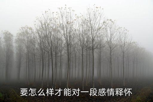 要怎么樣才能對一段感情釋懷