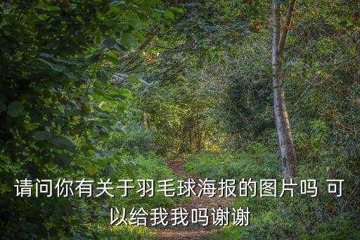 請問你有關于羽毛球海報的圖片嗎 可以給我我嗎謝謝