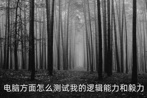 電腦方面怎么測試我的邏輯能力和毅力