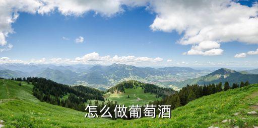 葡萄酒的做法，怎么做葡萄酒