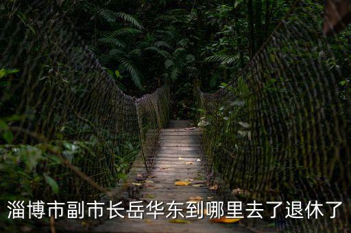 淄博市副市長岳華東到哪里去了退休了