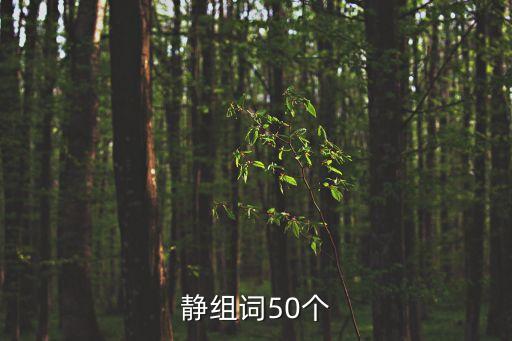 靜組詞50個(gè)