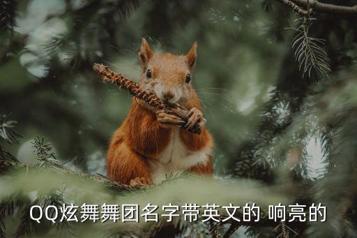 QQ炫舞舞團(tuán)名字帶英文的 響亮的