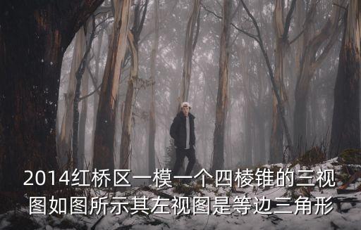 2014紅橋區一模一個四棱錐的三視圖如圖所示其左視圖是等邊三角形