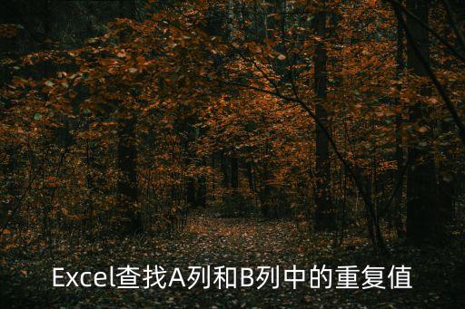 Excel查找A列和B列中的重復(fù)值