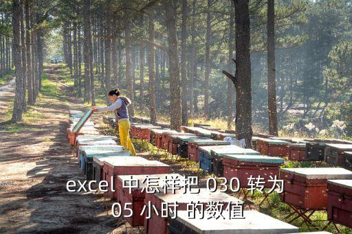 excel 中怎樣把 030 轉(zhuǎn)為 05 小時(shí) 的數(shù)值
