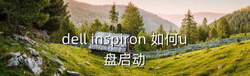 dell inspiron 如何u盤啟動