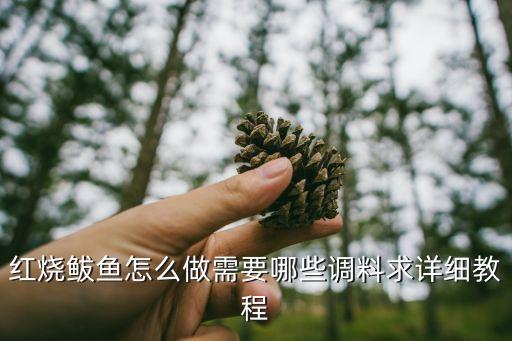 紅燒鲅魚怎么做需要哪些調料求詳細教程