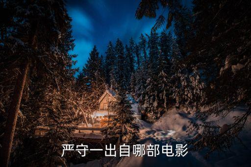 嚴守一出自哪部電影