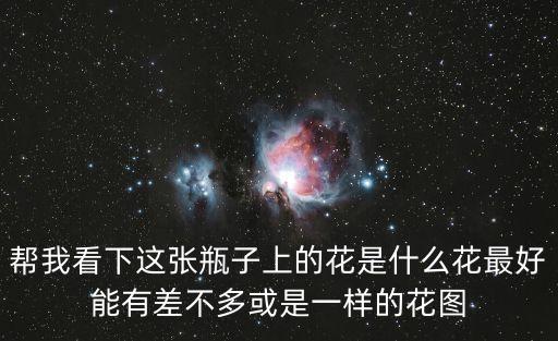 瓶花圖片，幫我看下這張瓶子上的花是什么花最好能有差不多或是一樣的花圖