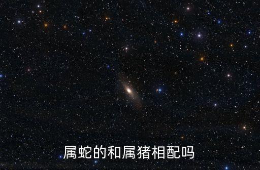 屬蛇的和屬豬相配嗎