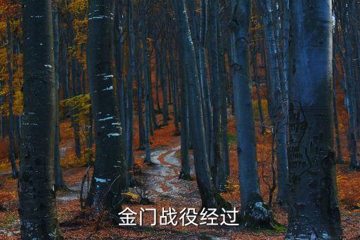 金門之戰，金門戰役經過