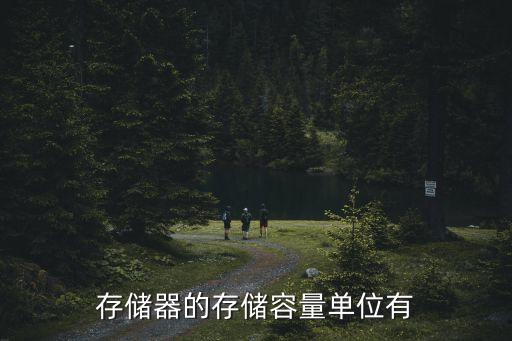 存儲單位，內存的基本存儲單位是