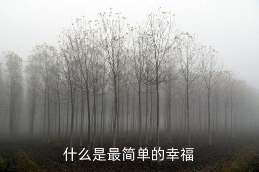 什么是最簡單的幸福