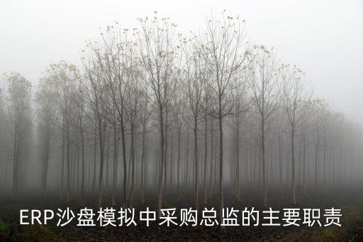 ERP沙盤模擬中采購總監的主要職責