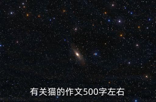 寫貓的作文，關(guān)于貓的作文400字