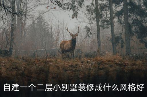 自建一個二層小別墅裝修成什么風格好